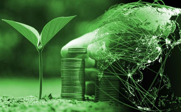 esg environmental social and governance